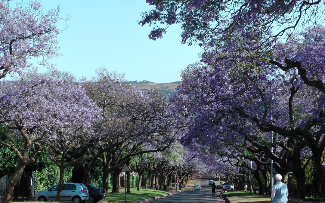 Unsere Reise nach Südafrika